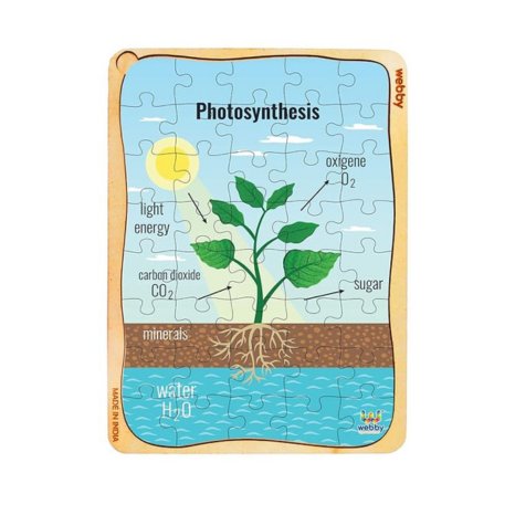 Webby Photosynthesis Wooden Jigsaw Puzzle 40Pcs