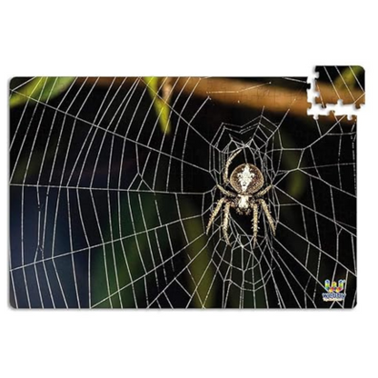 Webby Kid The Spider On The Web Jigsaw Puzzle, 252 Pieces