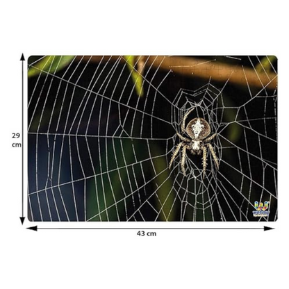 Webby Kid The Spider On The Web Jigsaw Puzzle, 252 Pieces