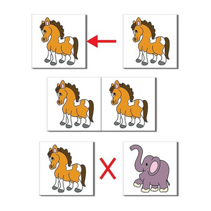 Frank Pairs A Memory Game 48 Cards Early Learner Matching Picture Card Toys and Games - 10331