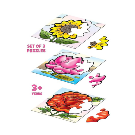 Frank Flowers A Set of 3 Jigsaw Puzzle for Kids Above Focus and Memory - 10212