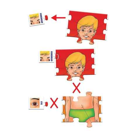 Frank Parts of My Body 25 Self-Correcting 2 Pcs Puzzle Educational Toys and Games - 10308