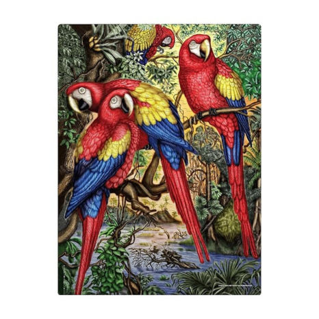 Frank Macaw Parrots Jigsaw Puzzle (500 Pieces) for Adults and Kid for Focus and Memory -33920