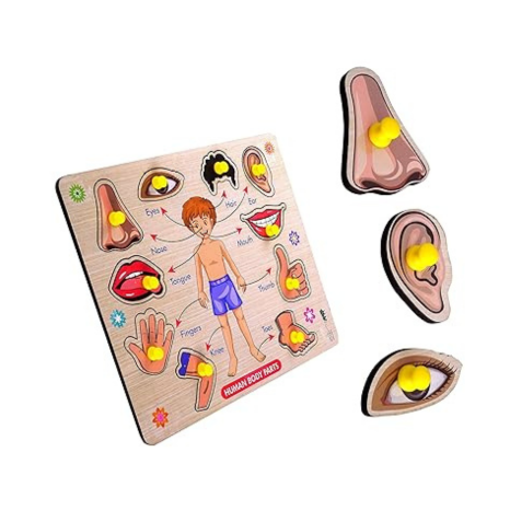 Highroof Body Part Wooden Puzzle Kids Games Toys For Kids 3+ Jigsaw Puzzles For Adults Baby