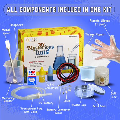DIY Mysterious Ions Science Experiment Kit | 10years+